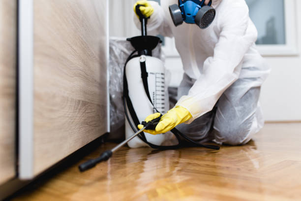 Best Pest Prevention Services  in New Town, ND