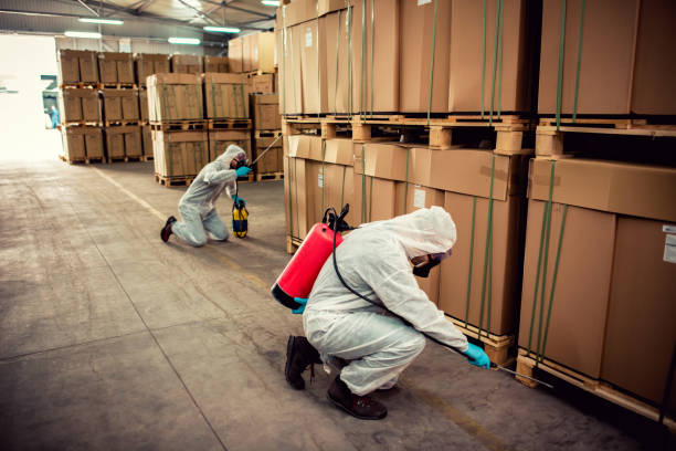 Best Affordable Pest Control Services  in New Town, ND