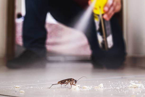 Best Pest Control Near Me in New Town, ND