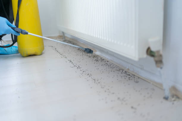 Professional Pest Control in New Town, ND