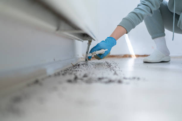 Best Best Pest Control Companies  in New Town, ND